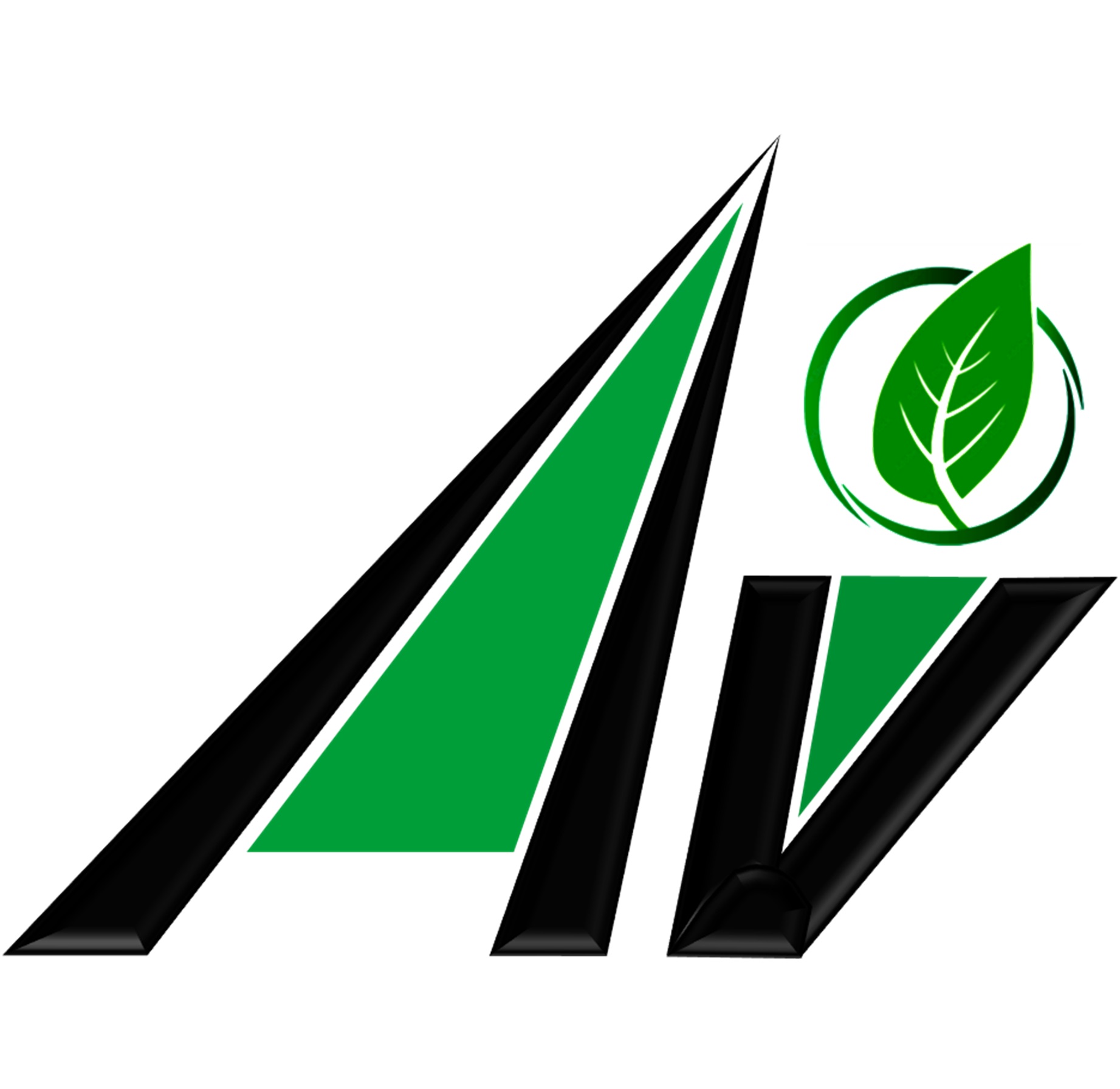 Avisorex S Rl logo